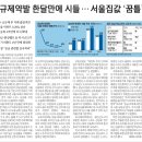 2025년 11월 21일 운세 및 세상 소식 이미지