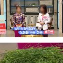 녹야원 솔잎유 비타민 E 72캡슐 이미지