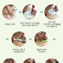 쭈 주식회사 이미지