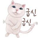 냥이 이발소 이미지