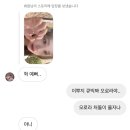 와이네일링 이미지