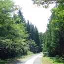 서귀포자연휴양림 이미지