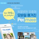 운정힐링동물병원 이미지