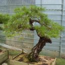 송학2리 이미지