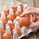 녹산농장 이미지