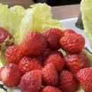 육해공포차