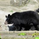 반달농장 이미지