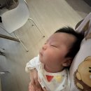 성신청과 - 영등포구 | [D+25~31] bcg 경피용? 피내용? , 출생신고, 드디어 맥주, 서울숲나들이, 늘어난 잠투정