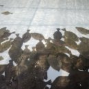 (주)글로비트 이미지