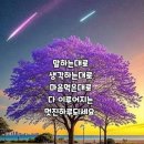 레옹여관 이미지