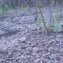 인천선학초등학교 이미지