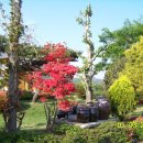 갈멜사슴농원 이미지