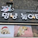 멍냥놀이터 네이버블로그
