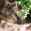 장수식당 이미지