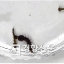 광릉산업개발 이미지