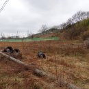 장암진성 이미지