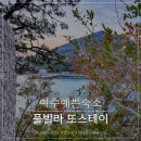 담소월스테이 | 여수 오션뷰 감성숙소 예쁜 풀빌라 펜션 추천 또스테이 픽스테이