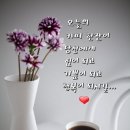 좋은하루 이미지