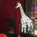 프란치하우스 이미지