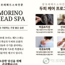 류헤어라인 이미지