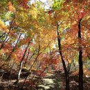 내지농장 이미지