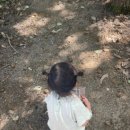 비호농장 이미지