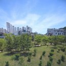 가로수부동산공인중개사사무소 이미지