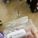 나이스부분정비 | 에어프레미아 홍콩행 YP801 지연 후기 | 프리미엄 이코노미로 업그레이드 당하다