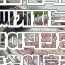 싸게 파는 집 이미지