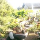 동그라미민박 이미지