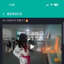 물금태권도장 이미지