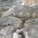 북부천변 이미지