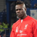 미운오리 이미지