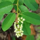전북산림환경연구소(산림청) 세계일보