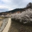 남산강변로 네이버블로그