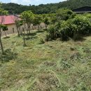 황칠농장 이미지