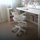 에이루 | 투노 에이루 어린이 바른자세 발받침 의자로 초등학생 건강 살펴보기