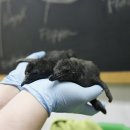 아쿠아플라넷 여수 이미지