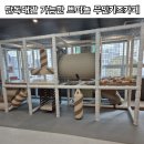 청룡유치원 | 목포 무인키즈카페 쁘띠놀 단독대관 후기 목포 아이와 가볼만한곳 추천