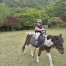 승마장 관리사무실 2층 | 부산 기장 승마장 바모스승마클럽에서 코코의 첫 승마 체험기