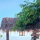 영흥농장 이미지