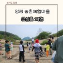 양평외갓집체험마을 아이랑 양평 가볼만한 곳 큰삼촌체험 비교 및 장단점 후기
