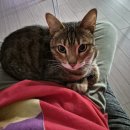 별보드레시루방 | 중학교 때 친구들과 1박 2일 대전 맛집 뿌시기 : 성심당, 딸기시루, 방탈출, 청모