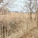 펫타운 - 김해시 구지로 102 | 펫타운