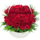 홍진농장 이미지