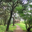 서샘물목장 이미지