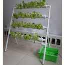 바이-수경 이미지