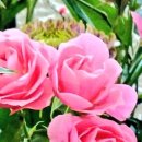 귀농2경로당 이미지