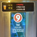 꼭그집 이미지