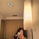 (주)웰리브 다정도시락 | [Ssay 쿄세라돔 후기] 7개의 빛깔이 찬란하게 빛나던 날🌈